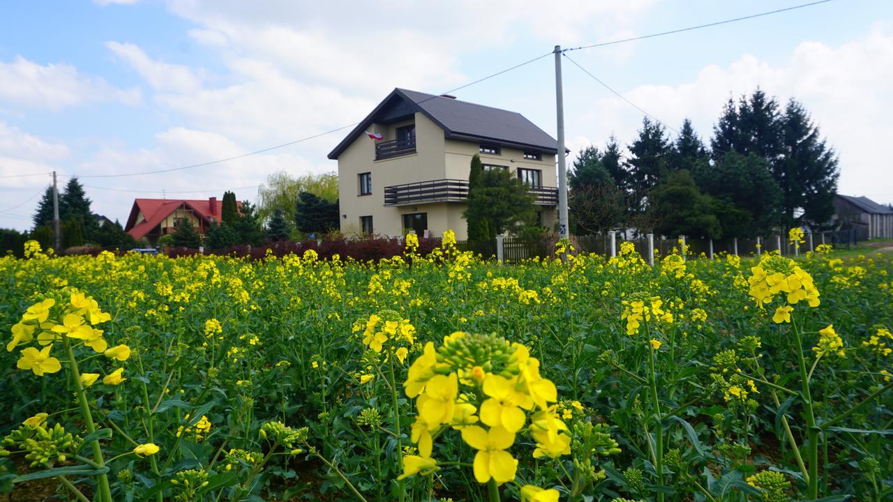 Swierkowy Nałęczów Exteriör bild